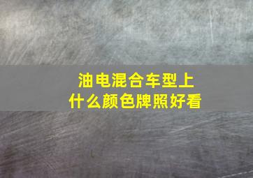 油电混合车型上什么颜色牌照好看