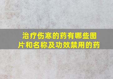 治疗伤寒的药有哪些图片和名称及功效禁用的药