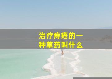 治疗痔疮的一种草药叫什么