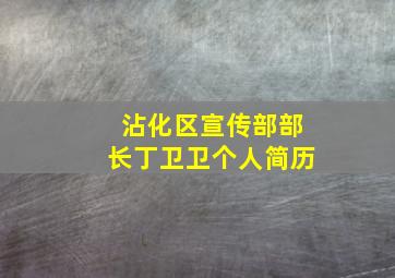 沾化区宣传部部长丁卫卫个人简历