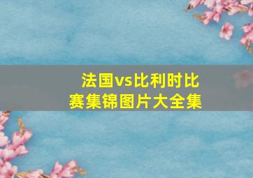 法国vs比利时比赛集锦图片大全集