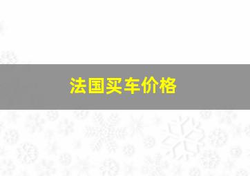 法国买车价格