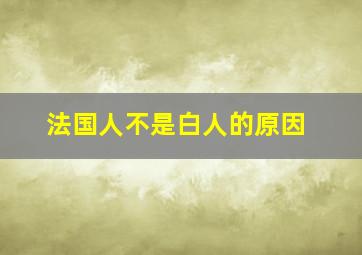 法国人不是白人的原因