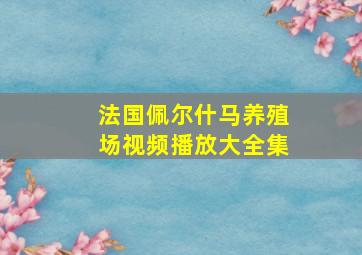 法国佩尔什马养殖场视频播放大全集