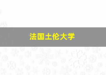 法国土伦大学