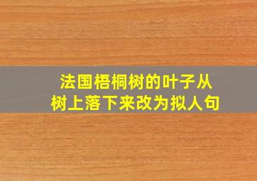 法国梧桐树的叶子从树上落下来改为拟人句