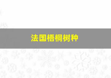 法国梧桐树种