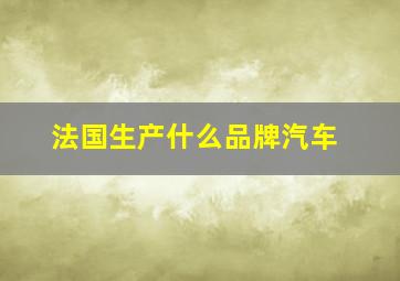 法国生产什么品牌汽车