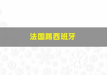 法国踢西班牙