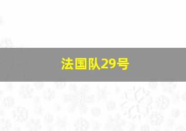 法国队29号