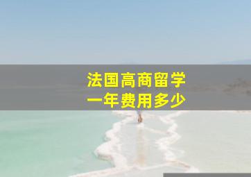 法国高商留学一年费用多少