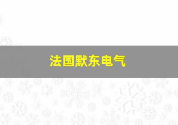 法国默东电气