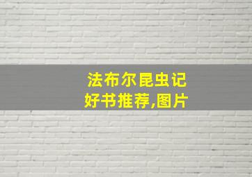 法布尔昆虫记好书推荐,图片