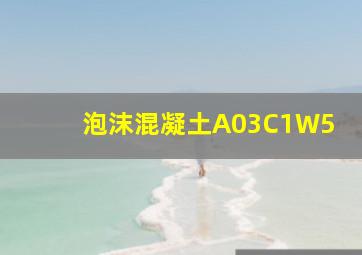 泡沫混凝土A03C1W5