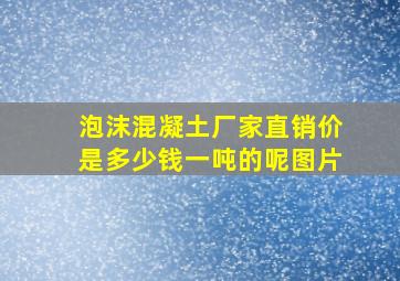 泡沫混凝土厂家直销价是多少钱一吨的呢图片