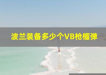 波兰装备多少个VB枪榴弹