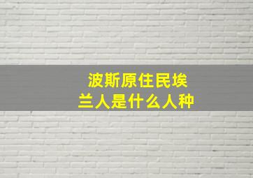 波斯原住民埃兰人是什么人种