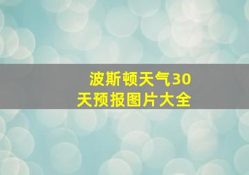 波斯顿天气30天预报图片大全