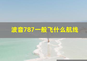 波音787一般飞什么航线