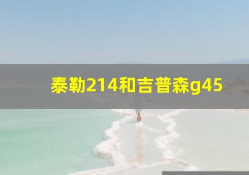 泰勒214和吉普森g45