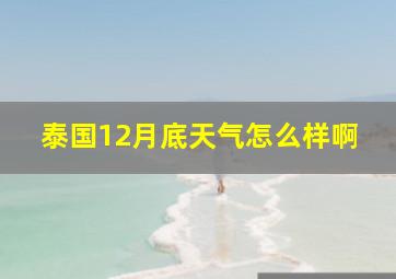 泰国12月底天气怎么样啊