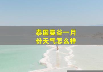 泰国曼谷一月份天气怎么样