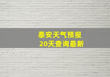 泰安天气预报20天查询最新