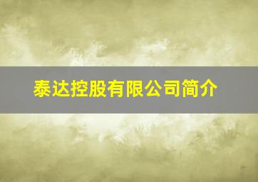 泰达控股有限公司简介