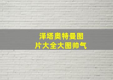 泽塔奥特曼图片大全大图帅气