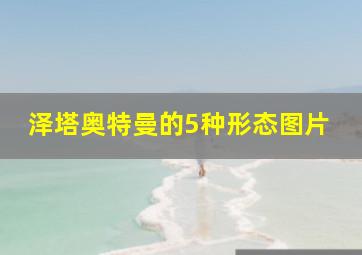 泽塔奥特曼的5种形态图片