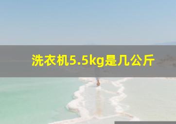 洗衣机5.5kg是几公斤