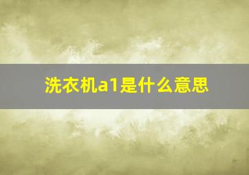 洗衣机a1是什么意思