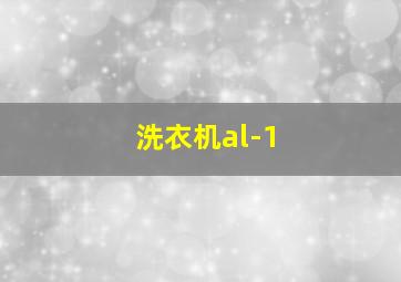 洗衣机al-1