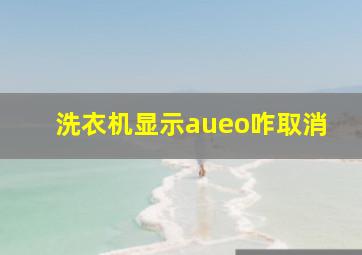 洗衣机显示aueo咋取消