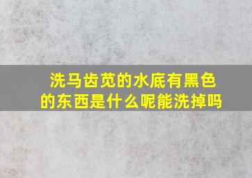 洗马齿苋的水底有黑色的东西是什么呢能洗掉吗