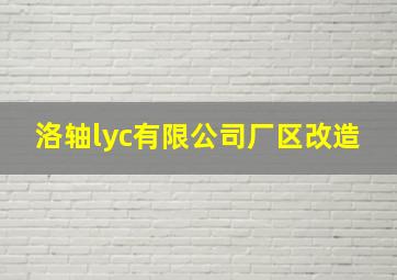 洛轴lyc有限公司厂区改造