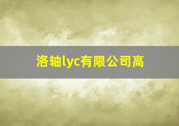 洛轴lyc有限公司高