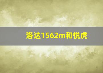 洛达1562m和悦虎