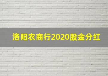 洛阳农商行2020股金分红