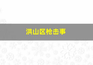 洪山区枪击事