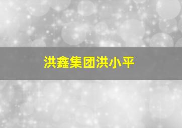 洪鑫集团洪小平