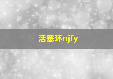 活塞环njfy