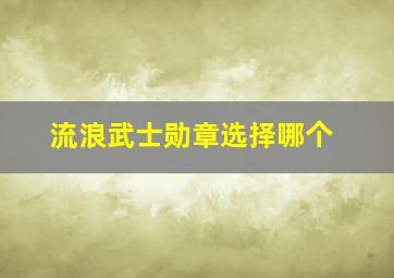 流浪武士勋章选择哪个