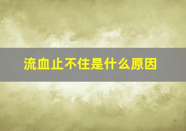 流血止不住是什么原因