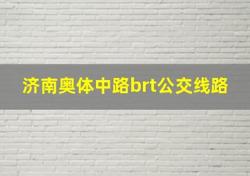 济南奥体中路brt公交线路