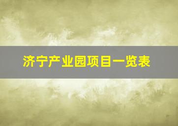 济宁产业园项目一览表