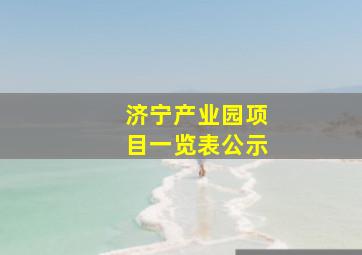 济宁产业园项目一览表公示