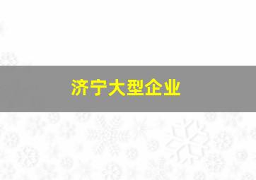 济宁大型企业