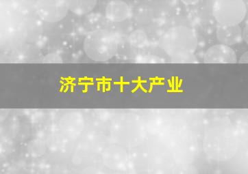 济宁市十大产业