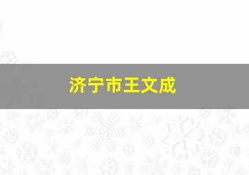 济宁市王文成